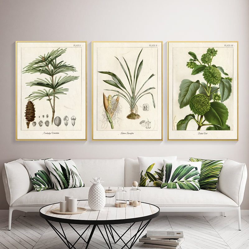 Leinwandmalerei 'Vintage Botanic'