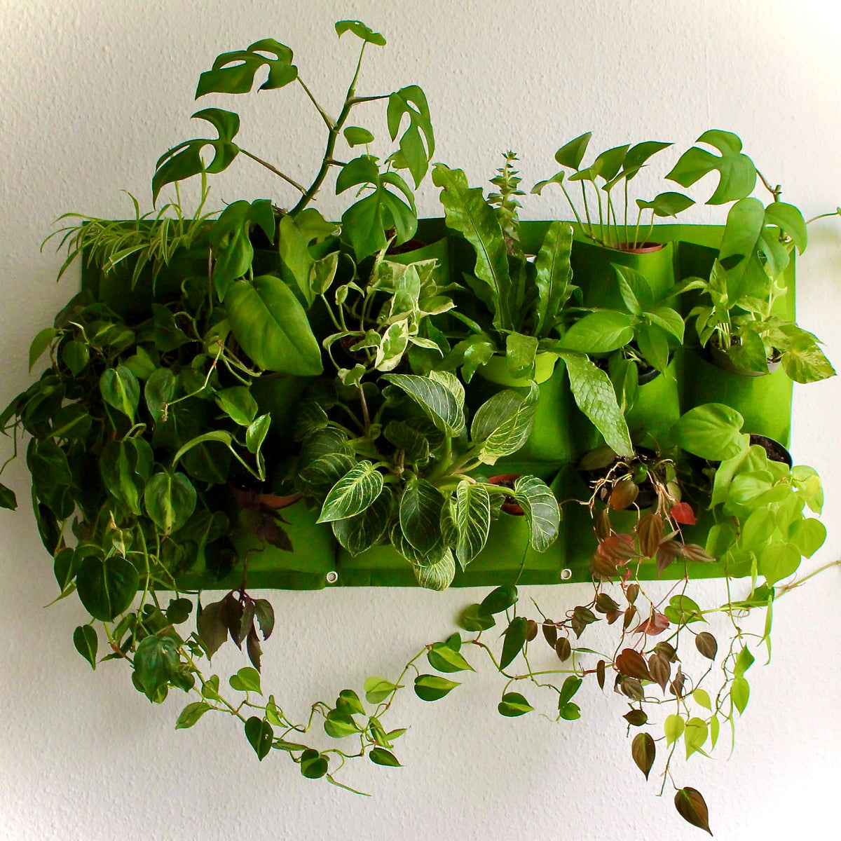 Wandhalterung 'Vertical Garden'