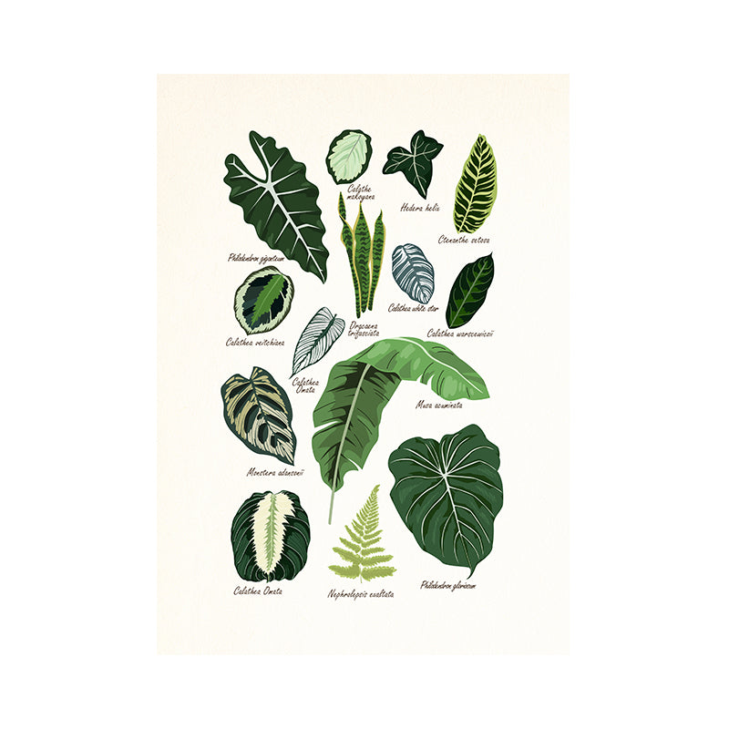 Leinwandmalerei verschiedene Collagen 'Plantfriend'