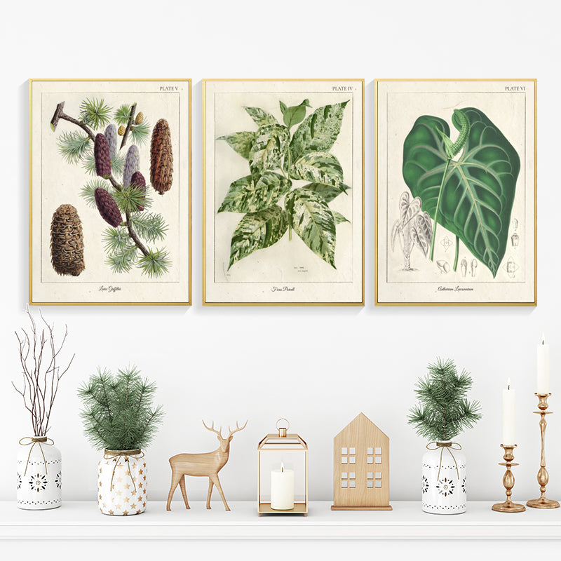 Leinwandmalerei 'Vintage Botanic'