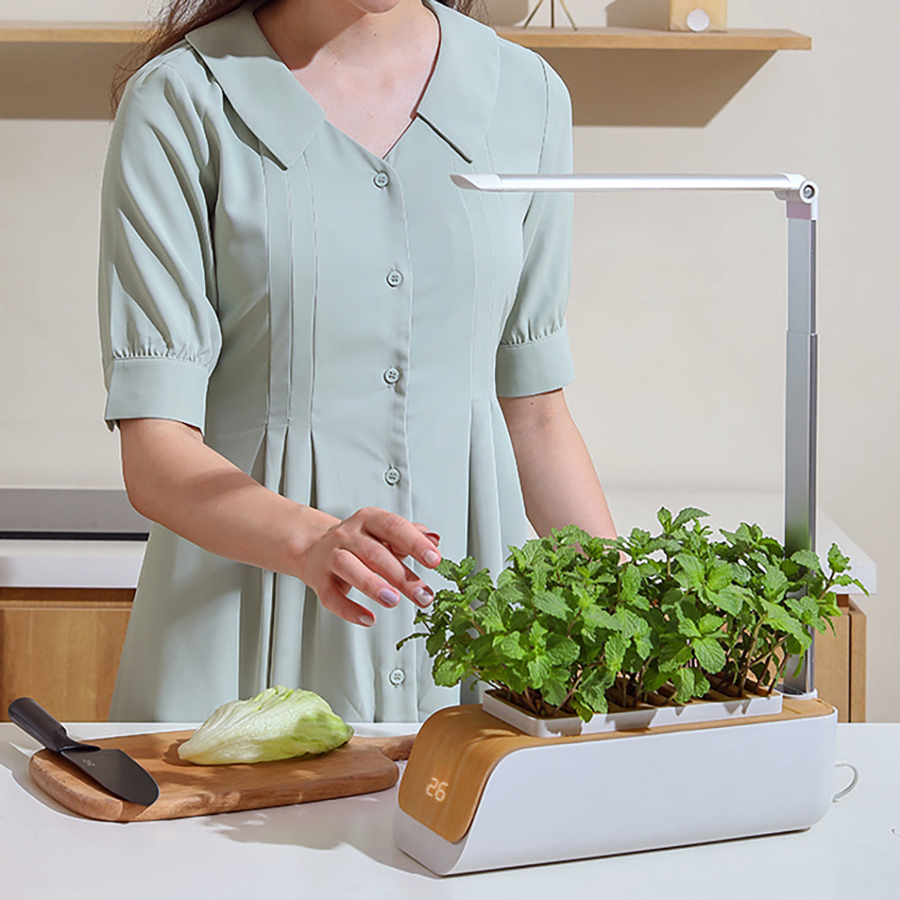 Hydrokultur-Anzuchtsystem, Indoor-Kräutergarten