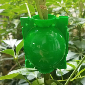 Wurzelhilfe 'Wurzelball' Grün
