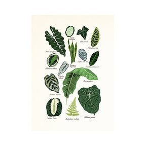 Leinwandmalerei verschiedene Collagen 'Plantfriend'